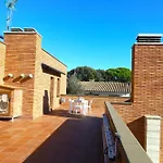 Avets Castell-Platja d’Aro