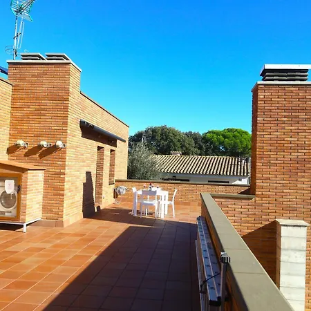 Avets Castell-Platja d’Aro